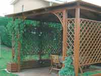 gazebo pavillon